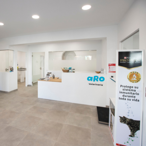 Instalaciones segunda imagen