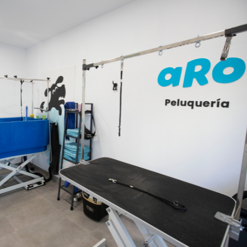 Instalaciones séptima imagen