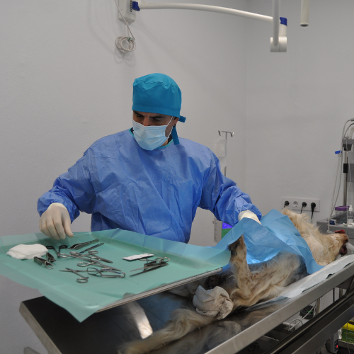 Instalaciones sexta imagen