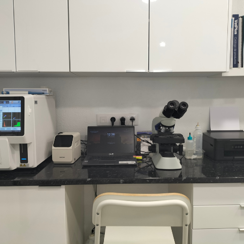 Diseño sin título (2)