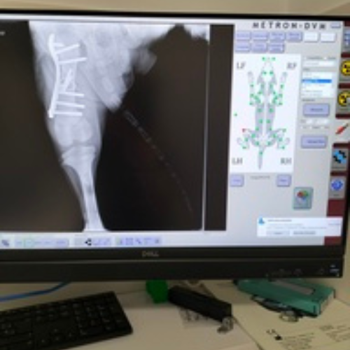 Diseño sin título (3)